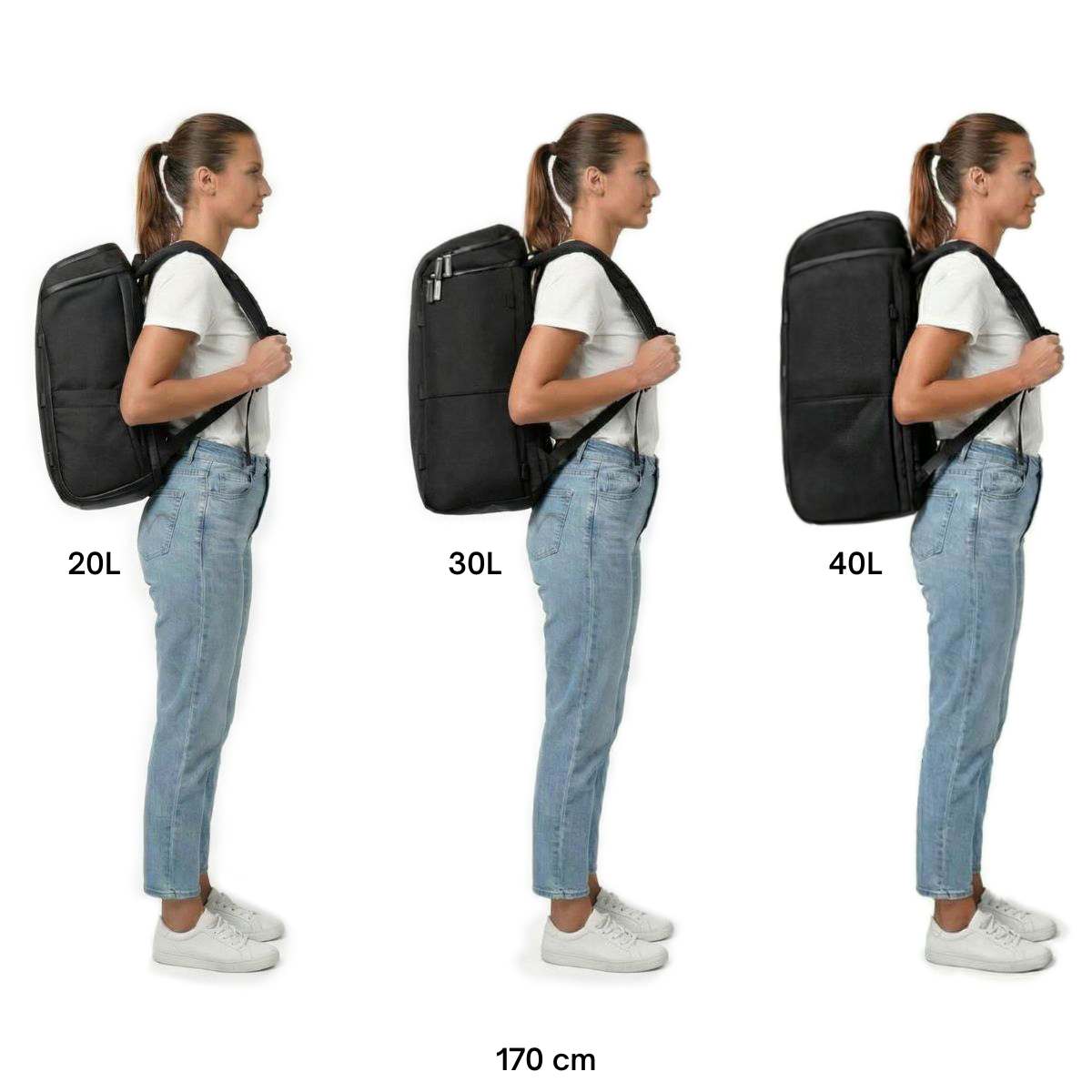 The Organizer 20L